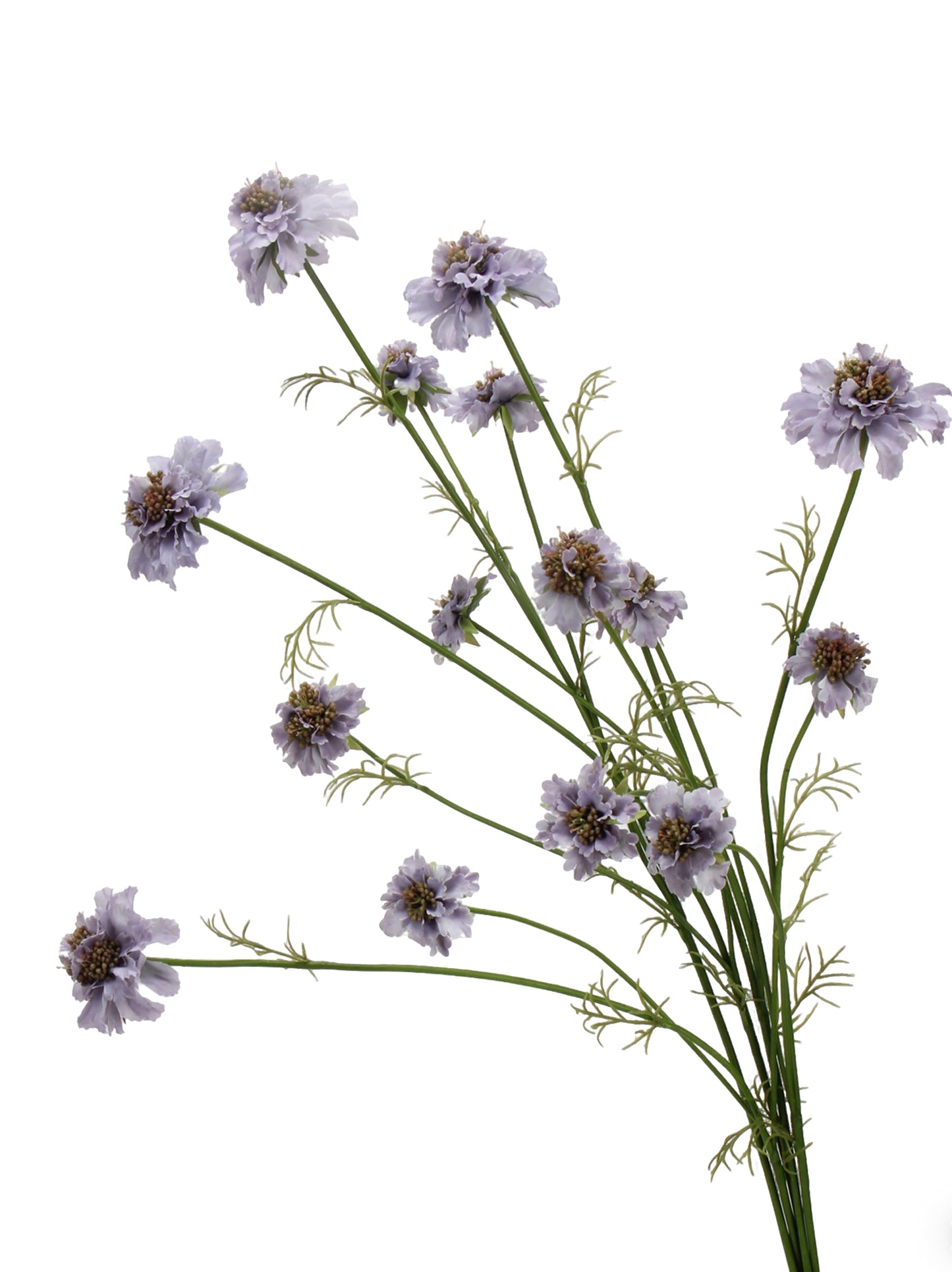 Faux Multi-Head Scabiosa Spray - 31.1"