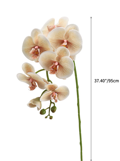 Real-Touch Faux Phalaenopsis Orchid Spray - 37.4"