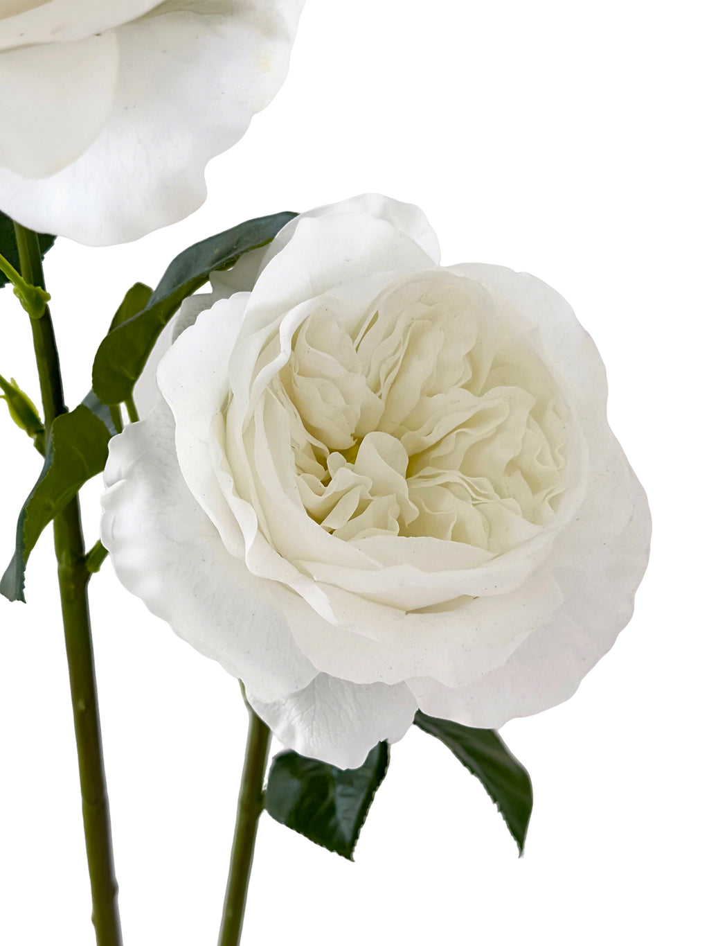 Artificial Austin roses with a realistic touch- 25.9"