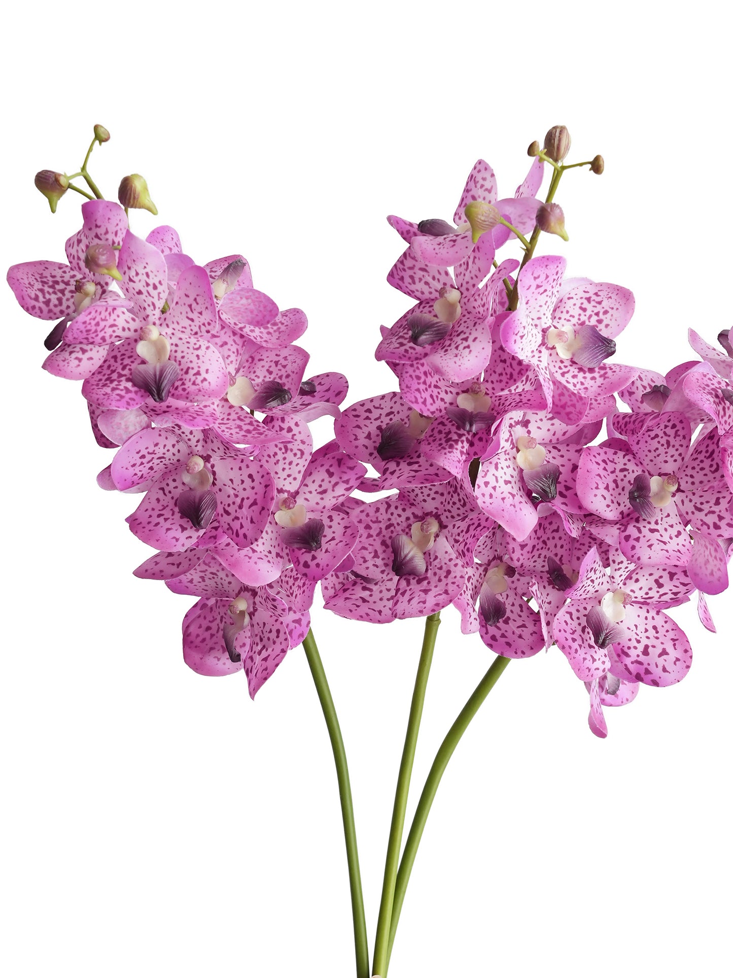 Artificial Vanda with lifelike touch -27.5"