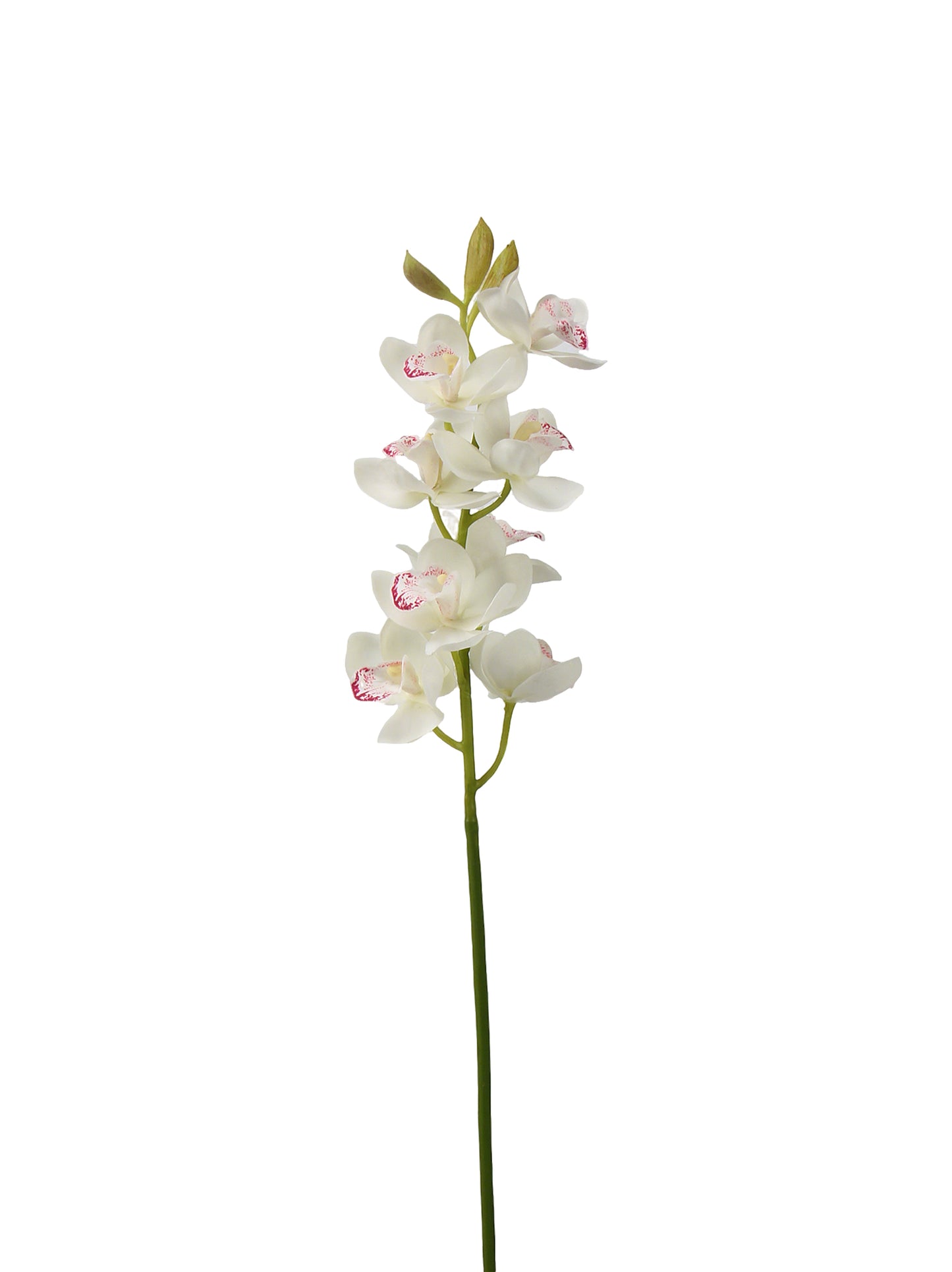 Real-Touch Faux Orchid Stem - 27.56"