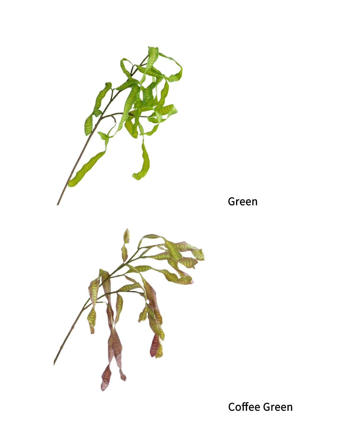 Artificial flowers of pea pods - 27.9"