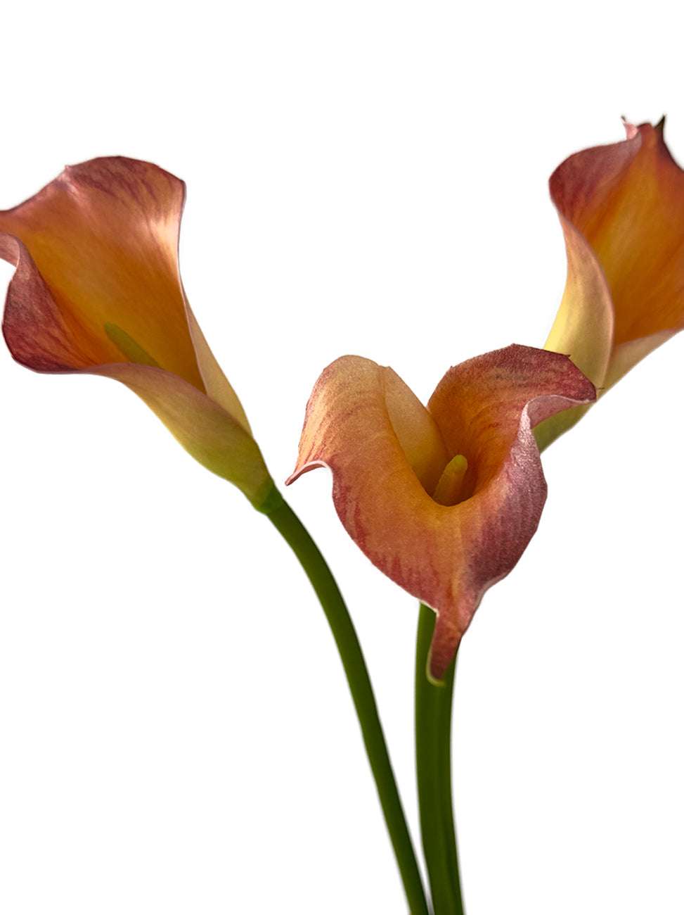 Artificial Calla Lily in Soft Tones-18.8"