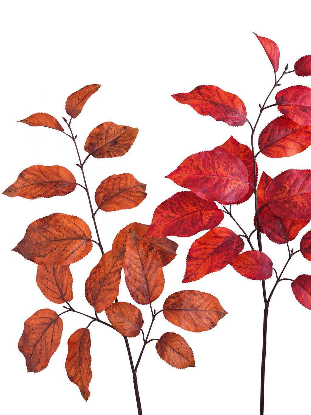 Retro Artificial Birch Leaves-29.7"