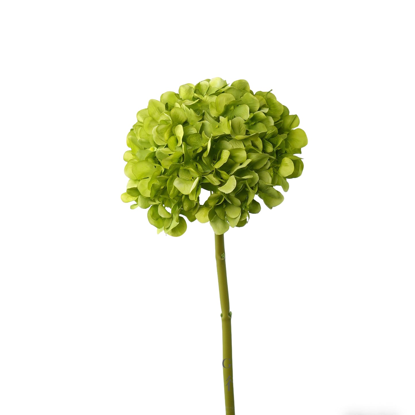Faux Hydrangea Single Stem - 17.3"