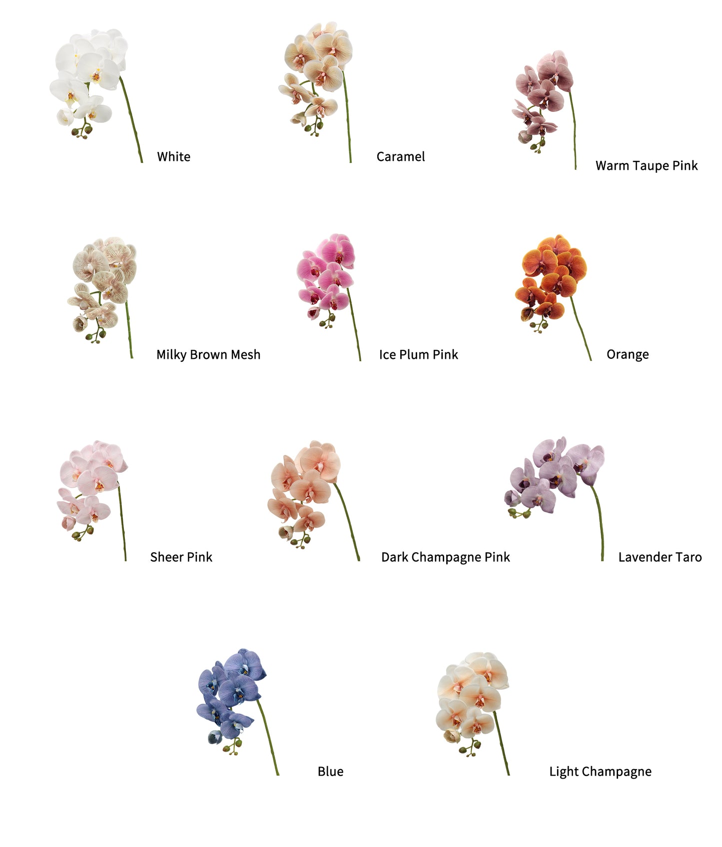 Real-Touch Faux Phalaenopsis Orchid Spray - 37.4"