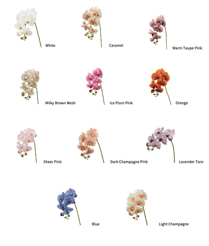 Real-Touch Faux Phalaenopsis Orchid Spray - 37.4"