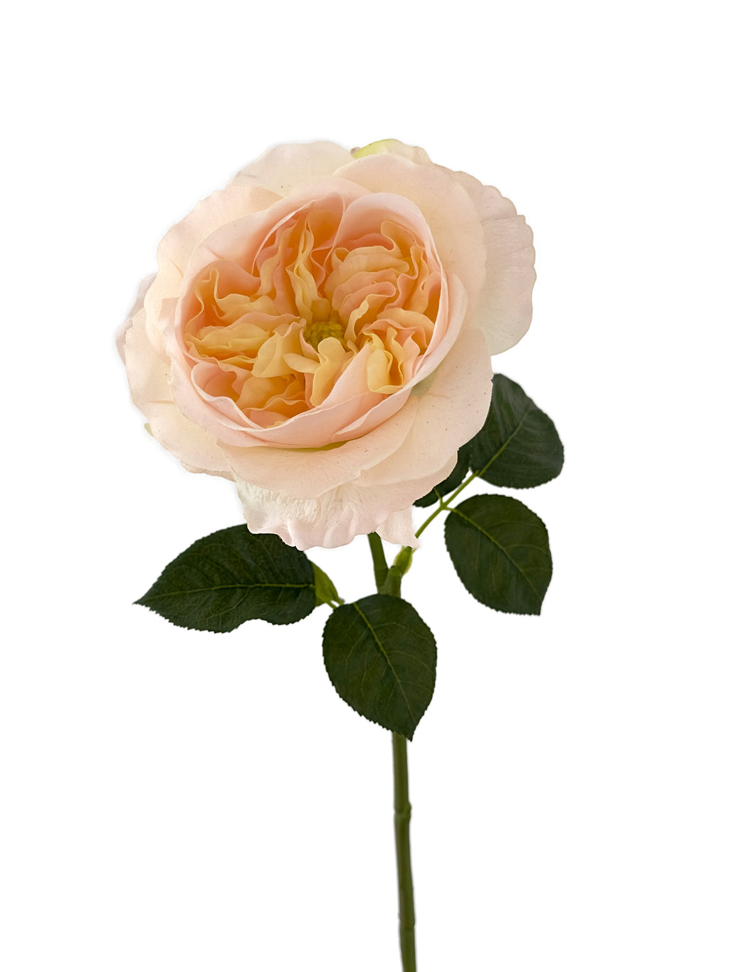 Artificial Austin roses with a realistic touch- 25.9"