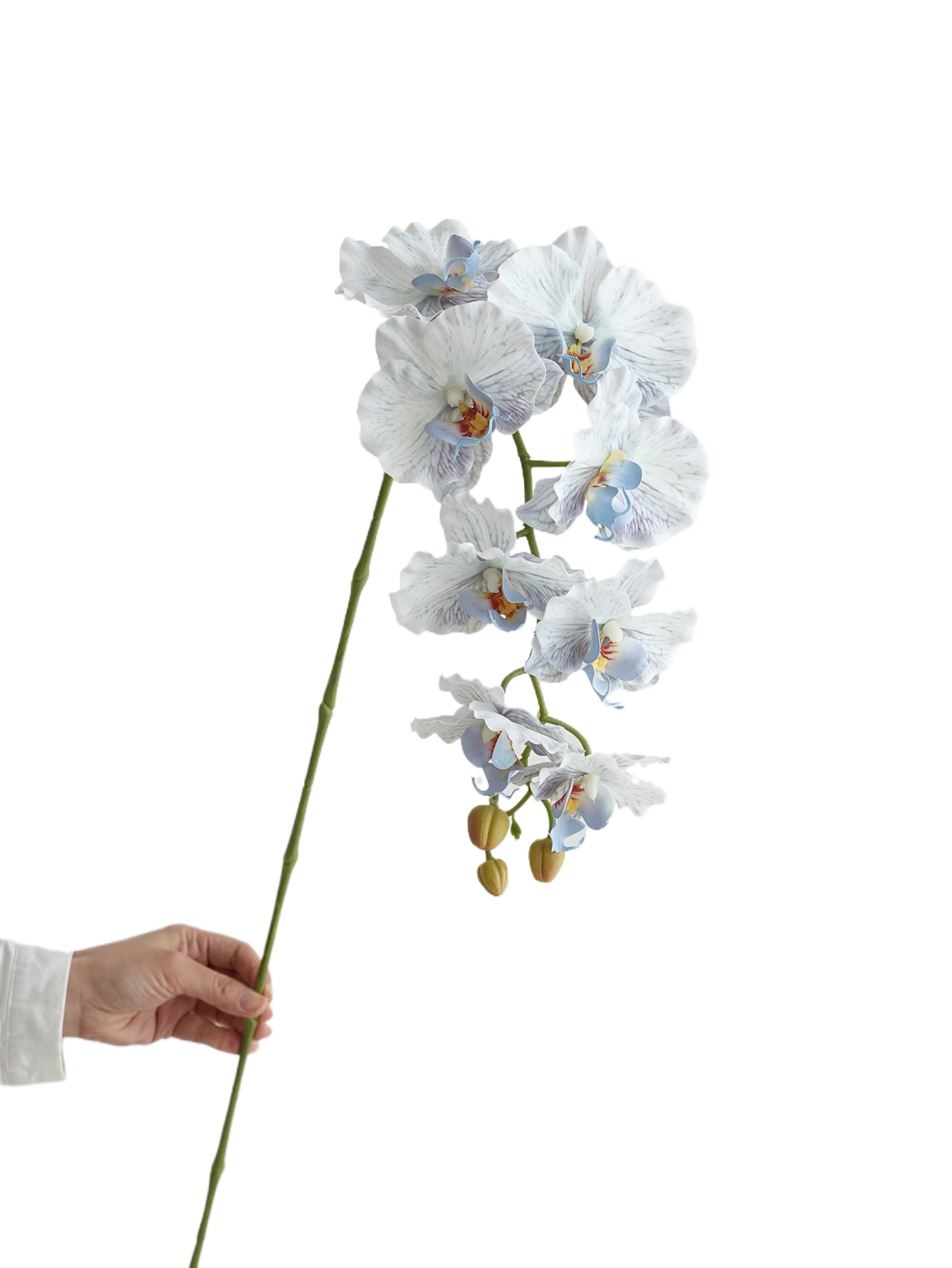 Colorful Artificial Phalaenopsis Orchids-38.5"