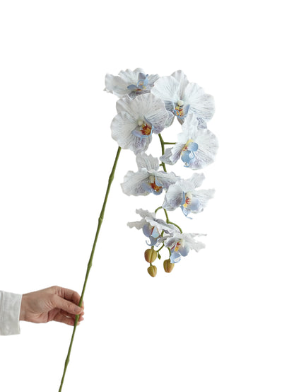 Colorful Artificial Phalaenopsis Orchids-38.5"