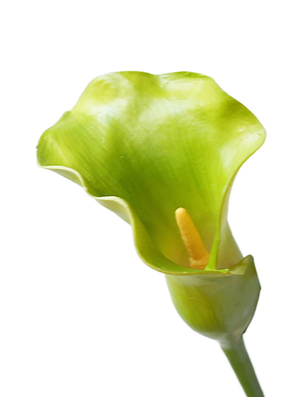 Luxurious artificial calla lilies- 29.5"