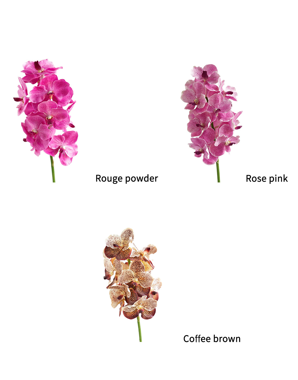 High-end Artificial Vanda Orchids -25.5"