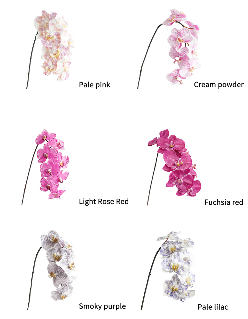 Artificial Phalaenopsis in Cream Color Palette-35"