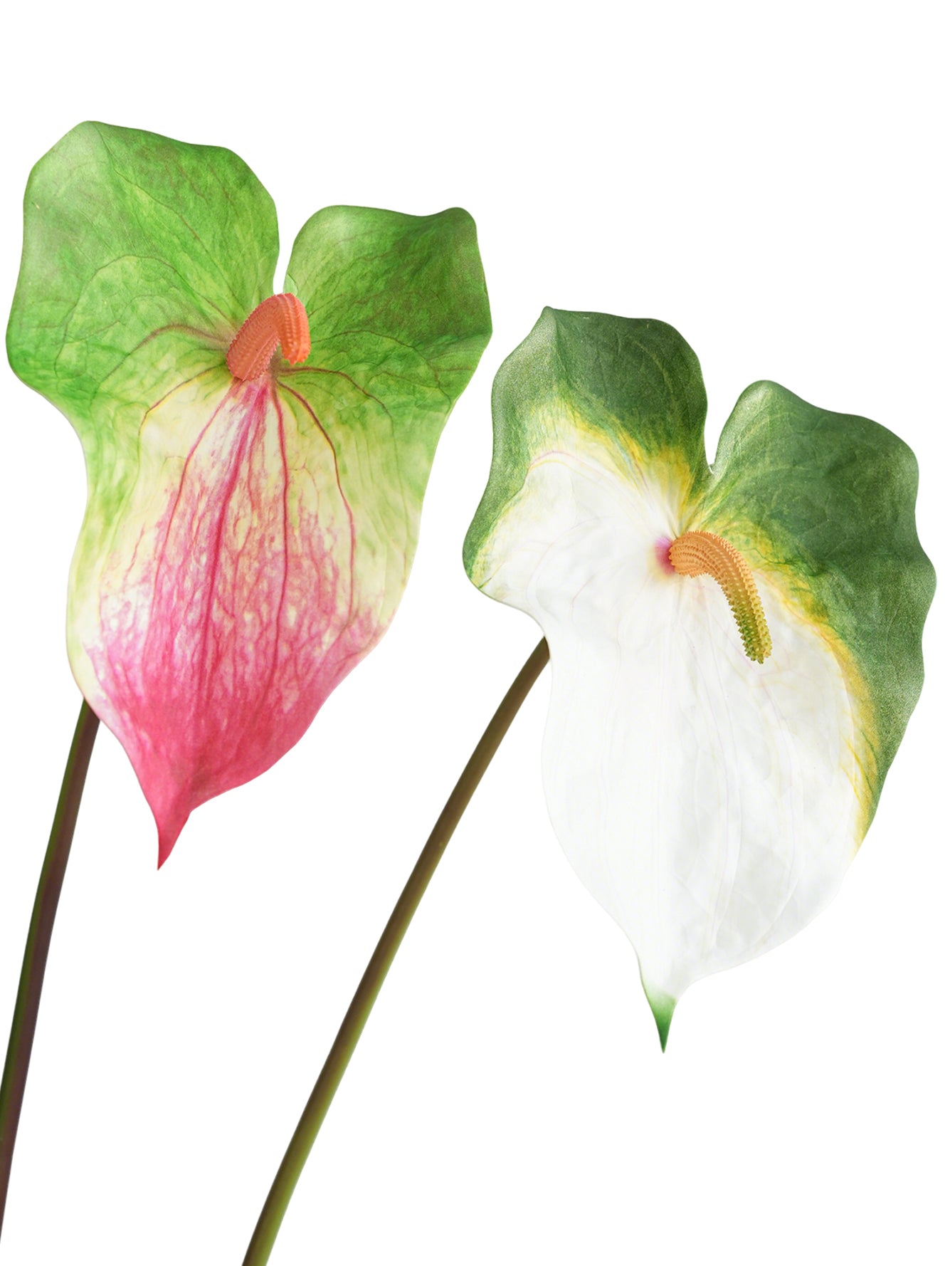 High-end Large-sized Artificial Green Anthurium Flowers- 26.7"