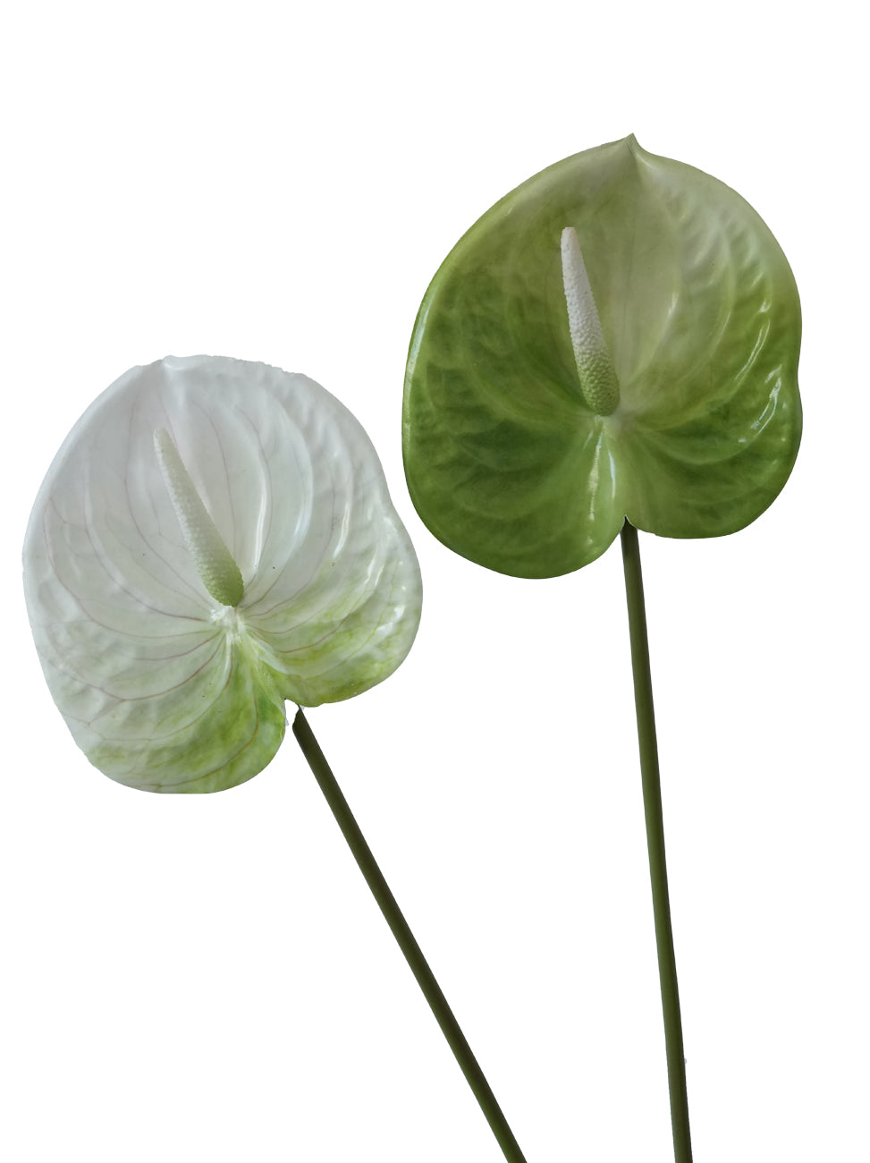 Large-sized artificial Anthurium flowers-26.3 "
