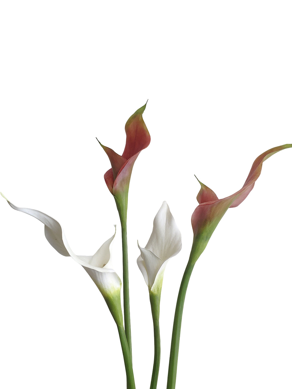 Artificial double-petaled calla lily flowers- 27.9"