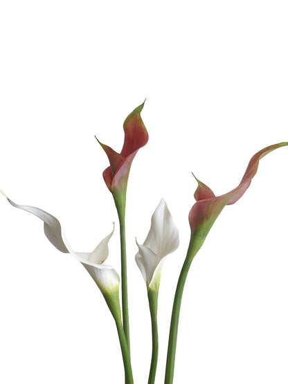 Artificial double-petaled calla lily flowers- 27.9"