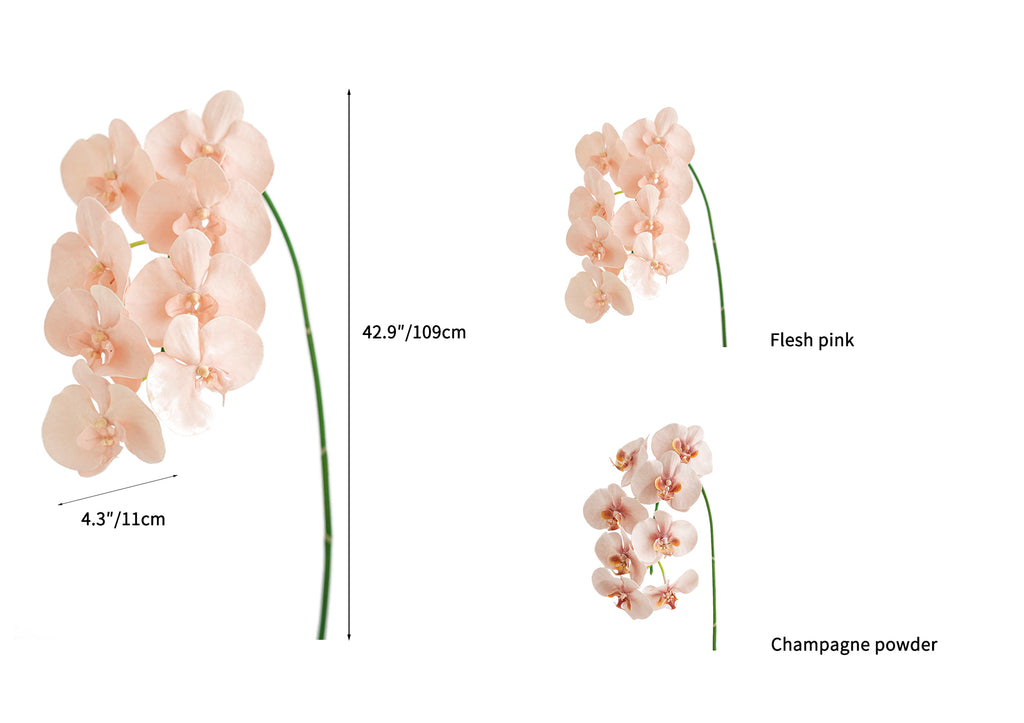 Fake Blooming Phalaenopsis Orchids in Cream-42.9"
