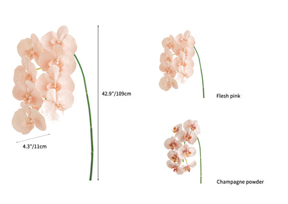 Fake Blooming Phalaenopsis Orchids in Cream-42.9"