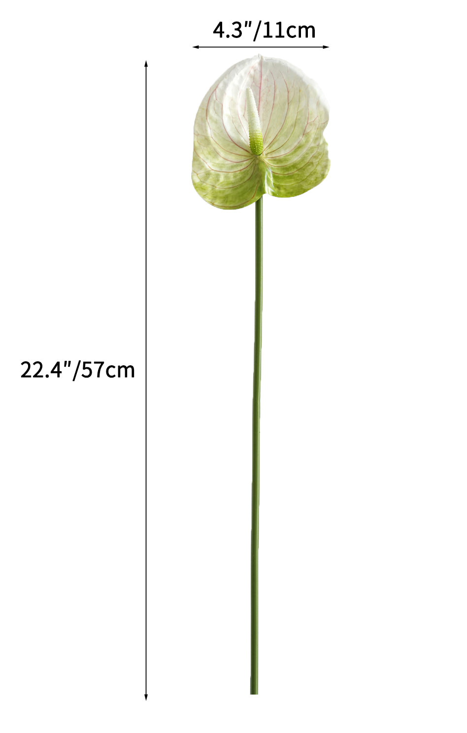 Small-sized artificial Anthurium flowers- 22.4"