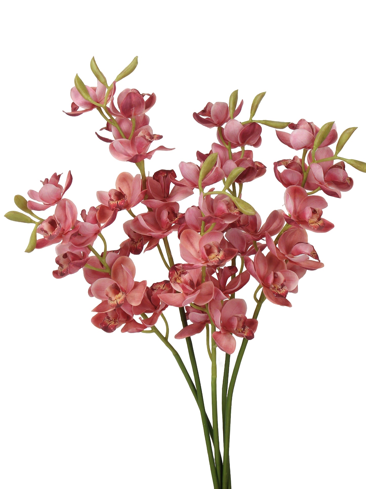 Real-Touch Faux Orchid Stem - 27.56"