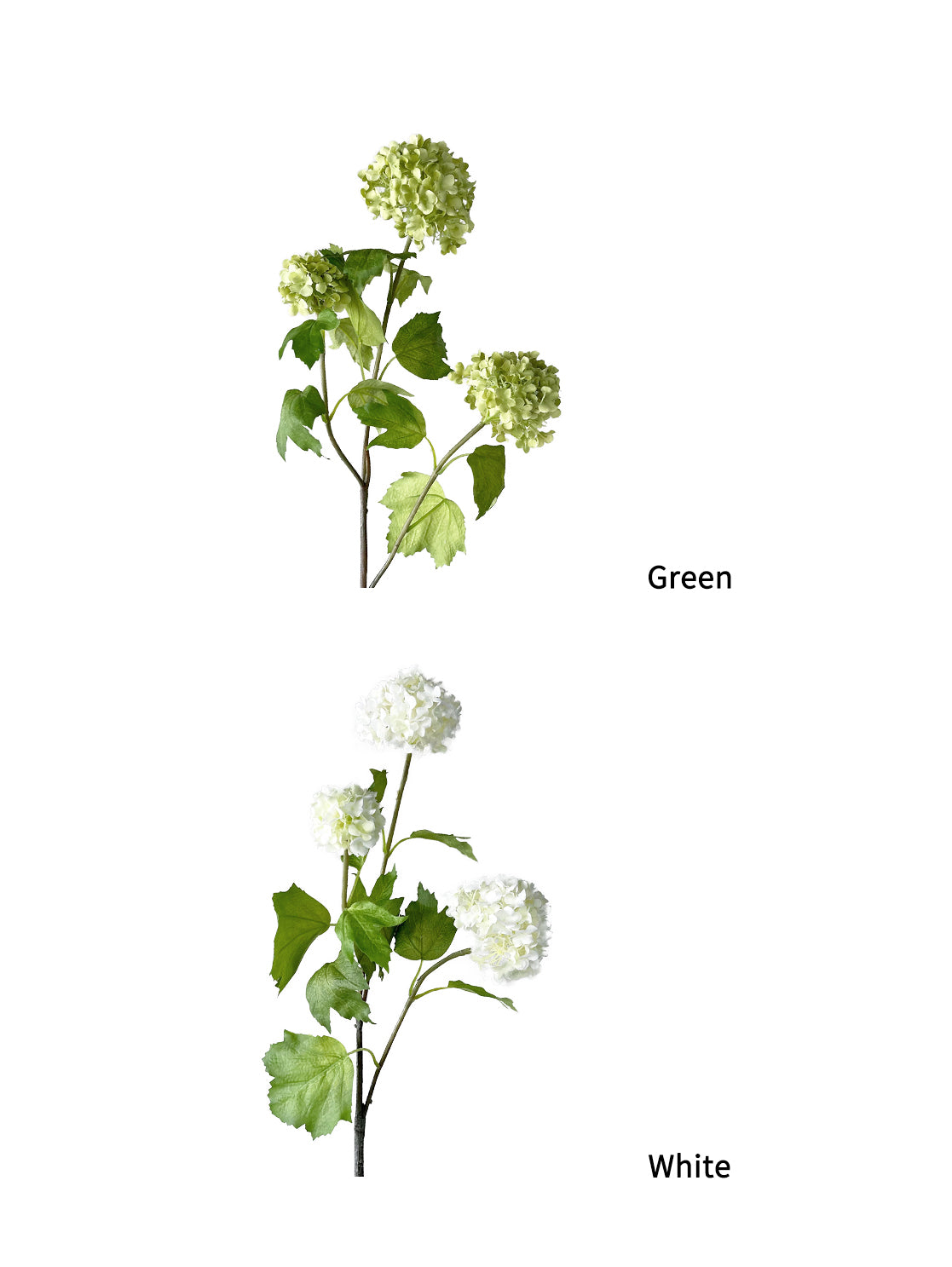Artificial simulated Viburnum macrocephalum flowers-27.5 "
