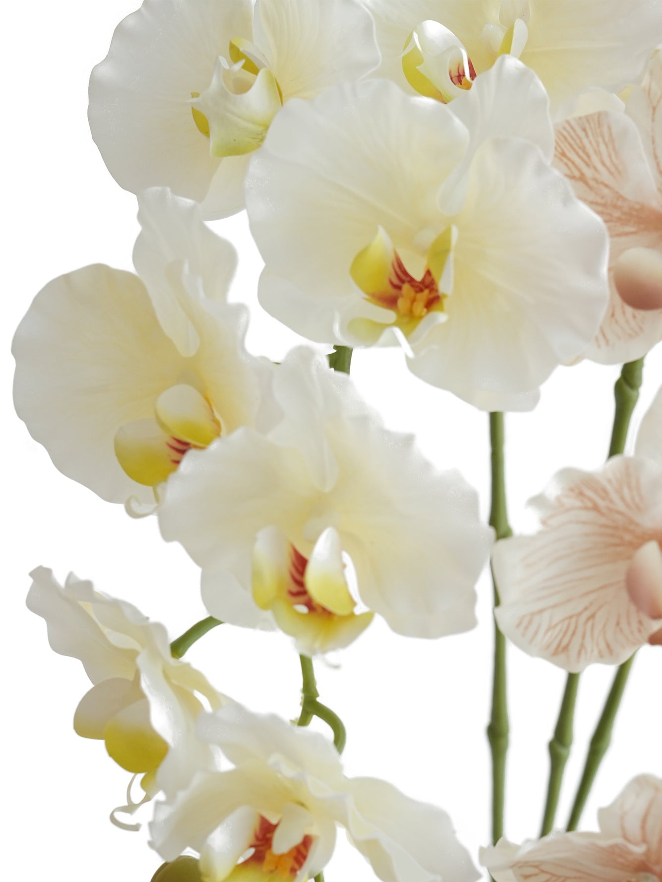 Colorful Artificial Phalaenopsis Orchids-38.5"