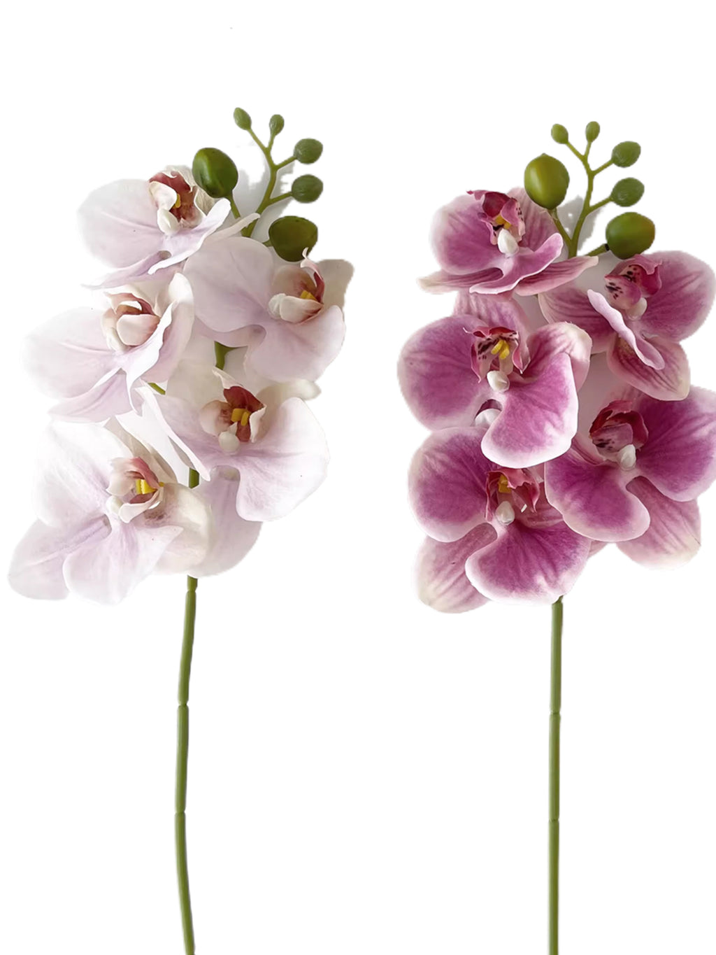 Artificial Phalaenopsis Orchids with a Realistic Touch -18.1"