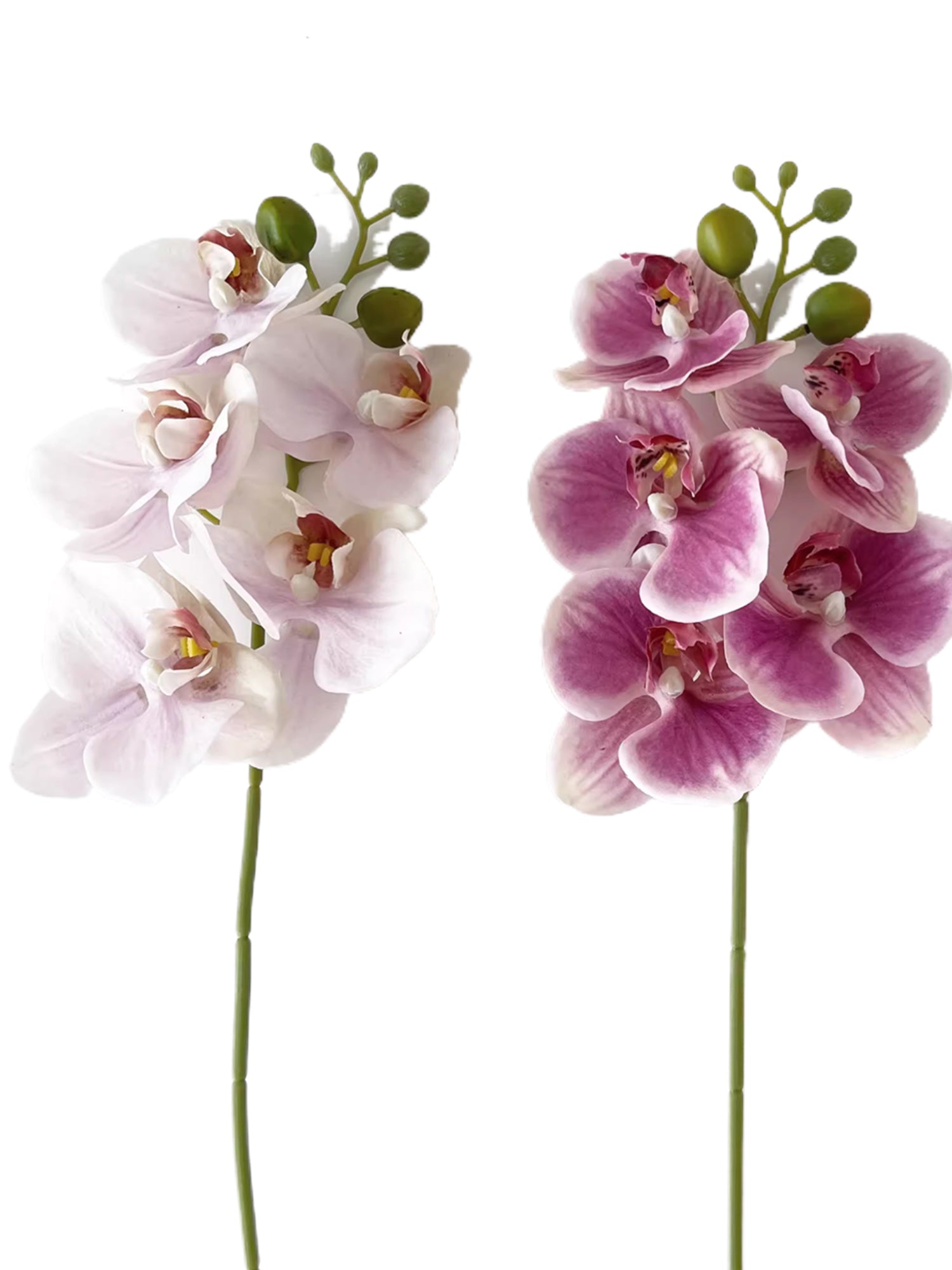 Artificial Phalaenopsis Orchids with a Realistic Touch -18.1"