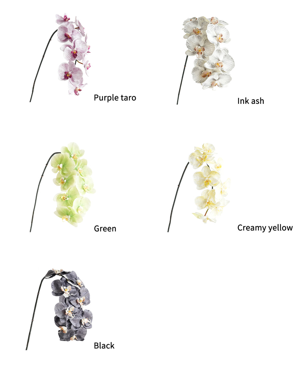 Artificial Phalaenopsis in Cream Color Palette-35"