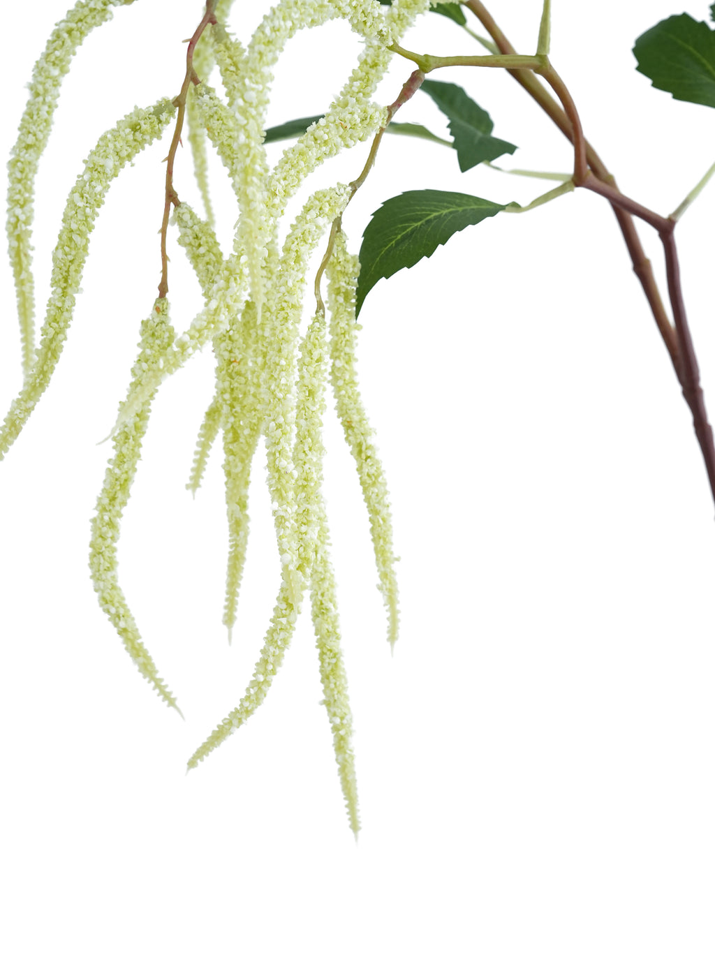 Artificial Amaranthus Stems -37.4"