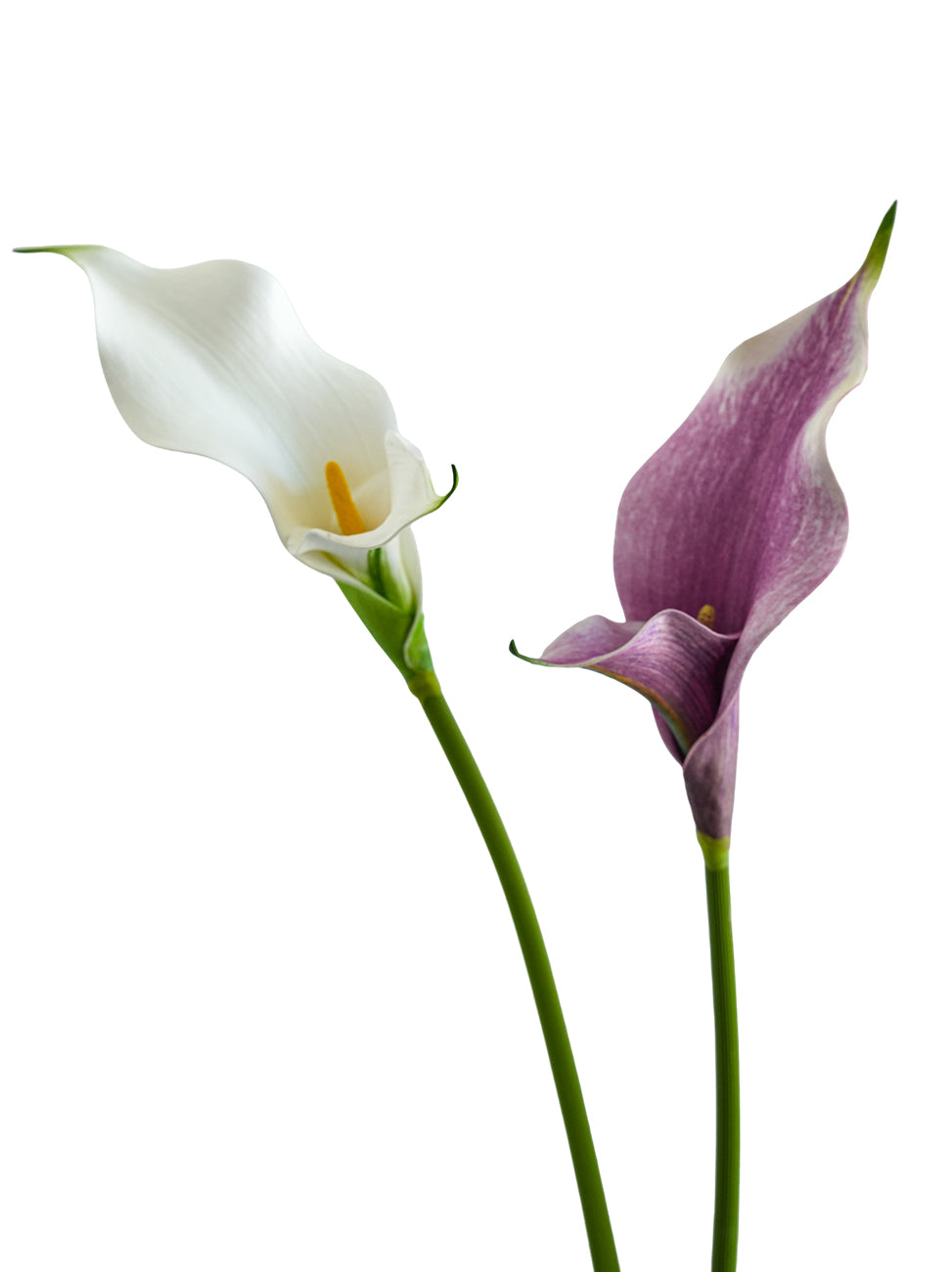 Artificial Calla Lily Flowers-23.6"