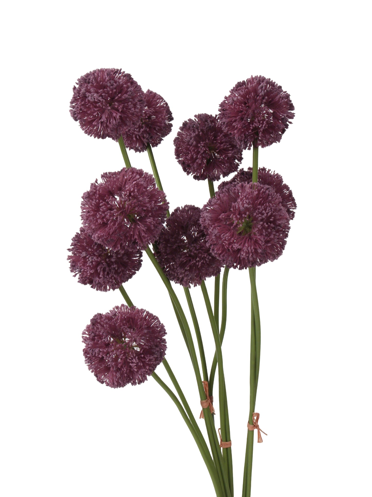 Faux Allium Stem - 22.8"