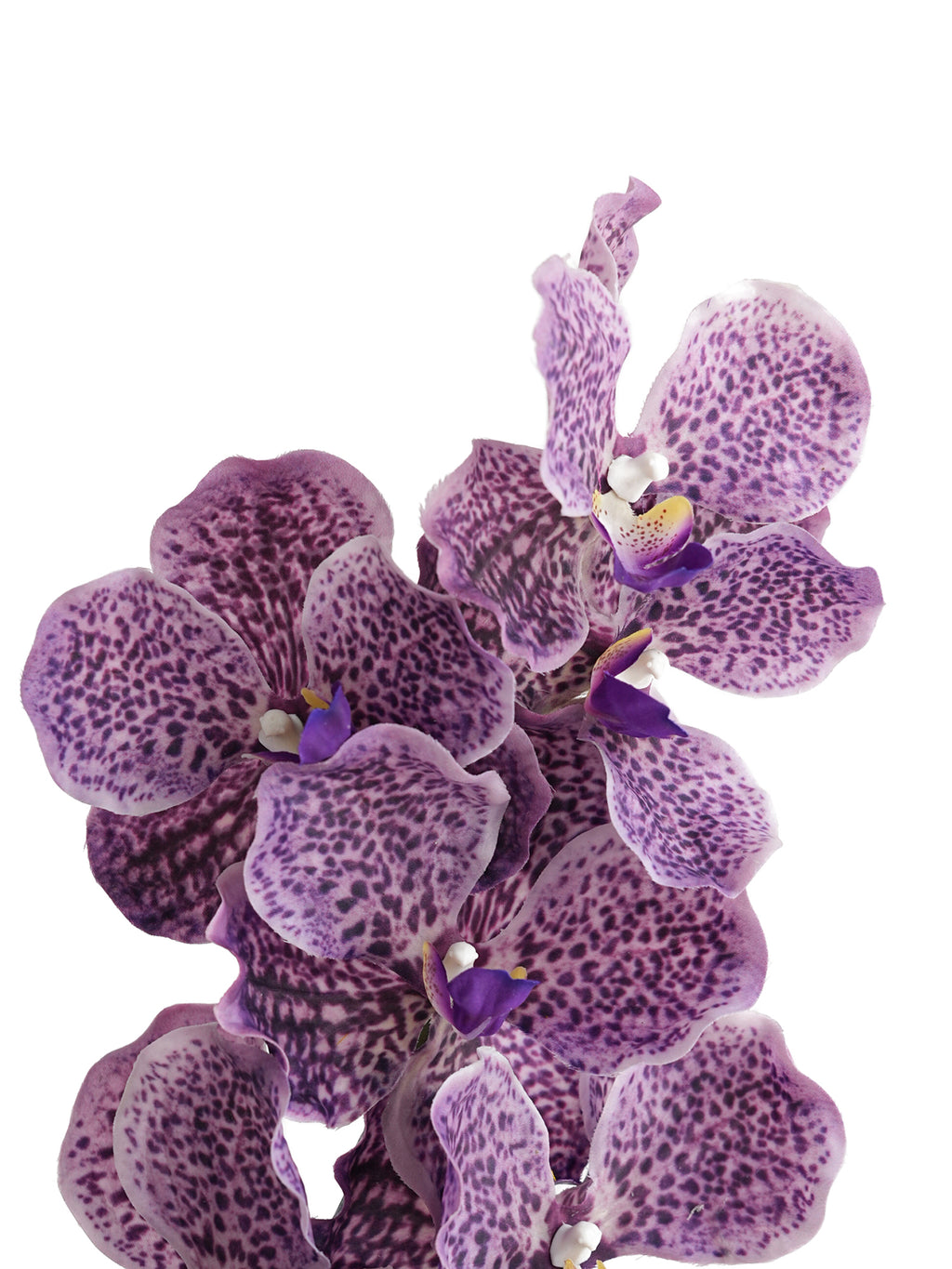 Artificial Vanda Orchid -31.5"