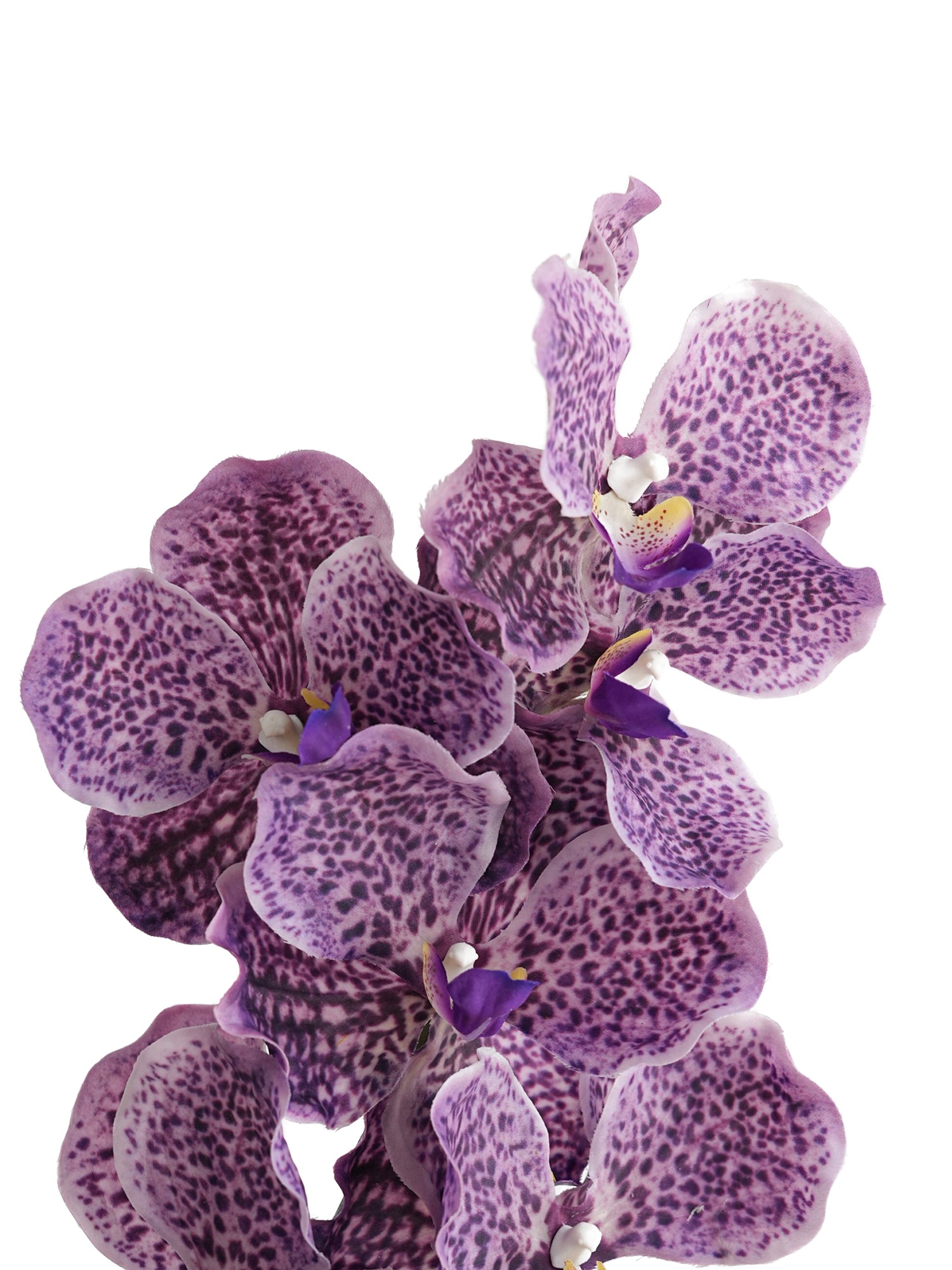 Artificial Vanda Orchid -31.5"