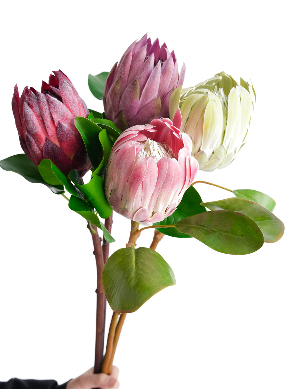 Luxurious simulated Protea cynaroides flowers -26.3 "