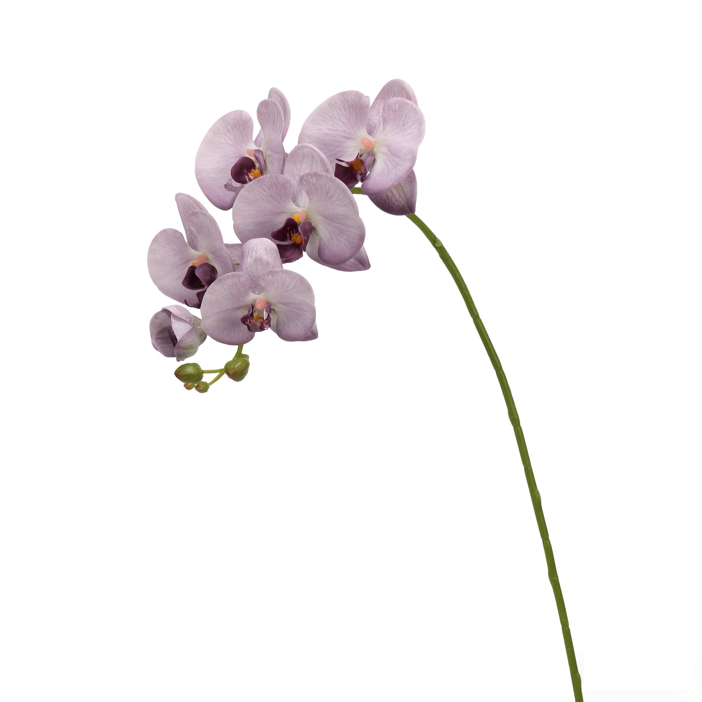 Real-Touch Faux Phalaenopsis Orchid Spray - 37.4"