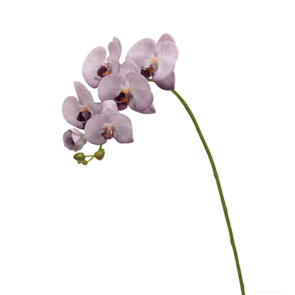 Real-Touch Faux Phalaenopsis Orchid Spray - 37.4"