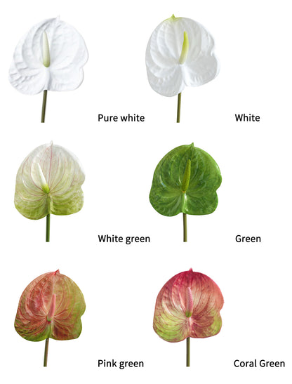 Small-sized artificial Anthurium flowers- 22.4"