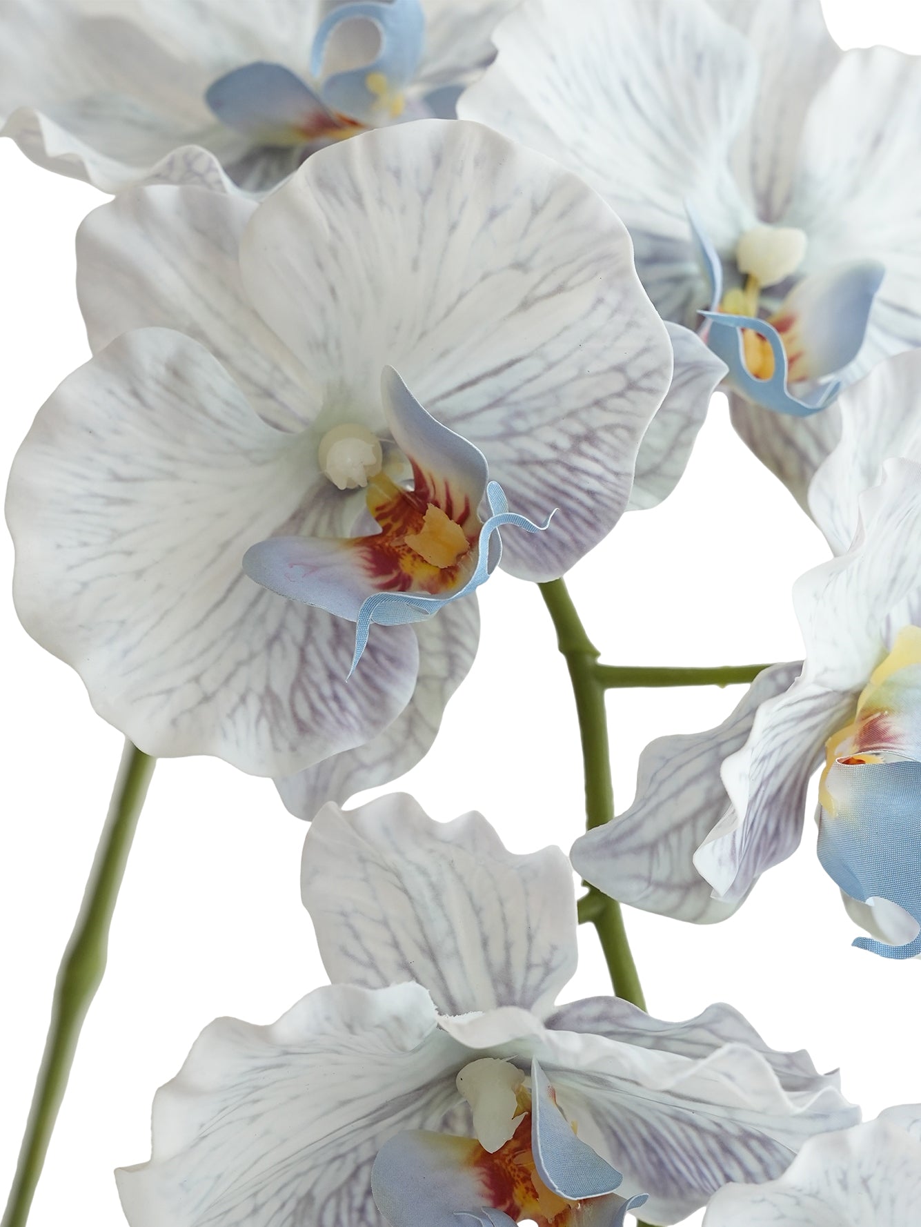 Colorful Artificial Phalaenopsis Orchids-38.5"