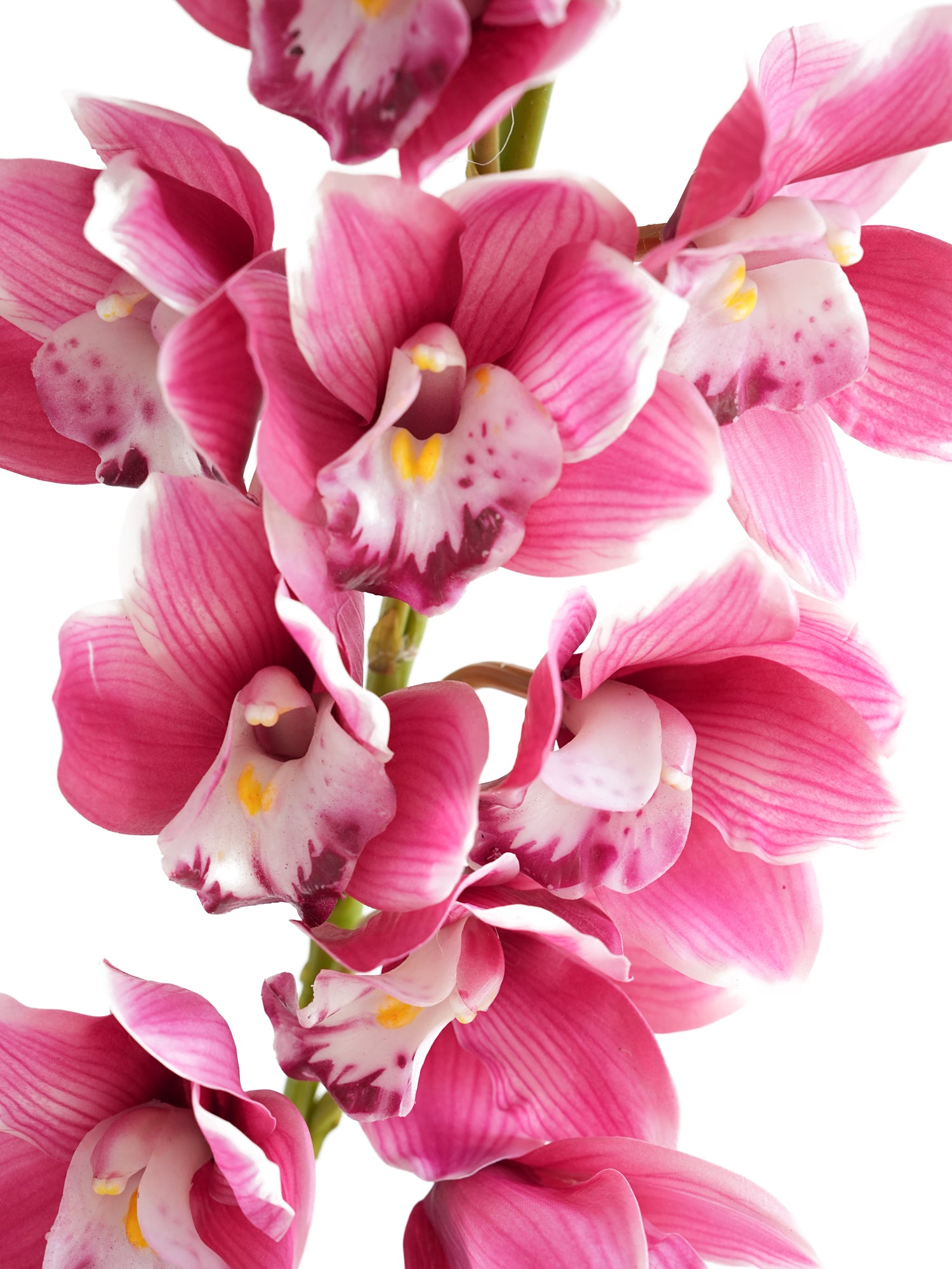 Large-sized artificial orchids with a realistic touch-37.4"