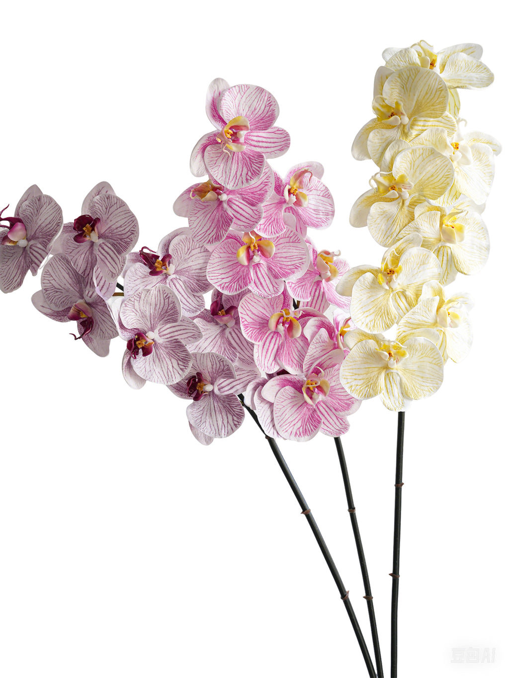 Artificial Phalaenopsis in Cream Color Palette-35"