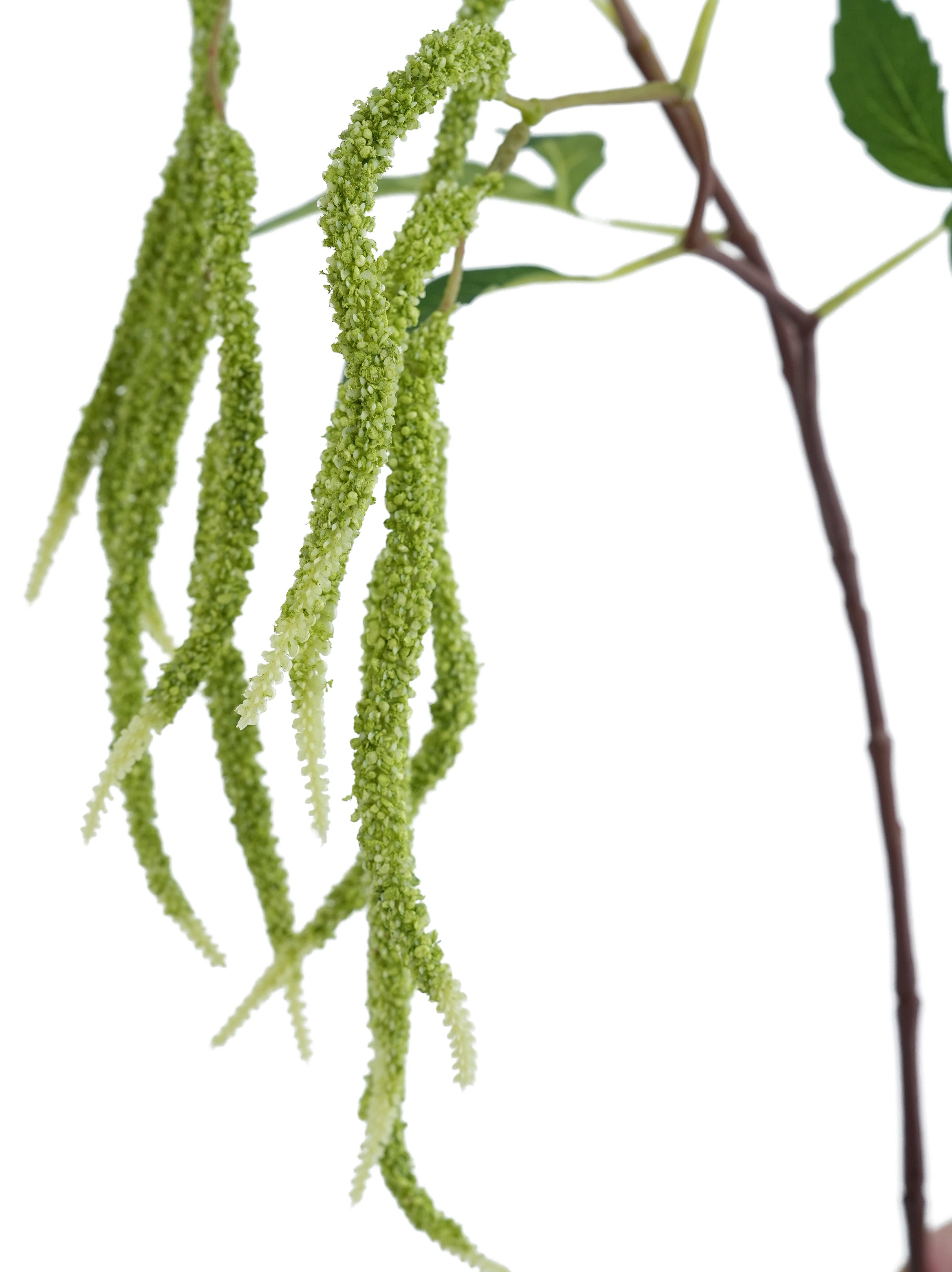 Artificial Amaranthus Stems -37.4"