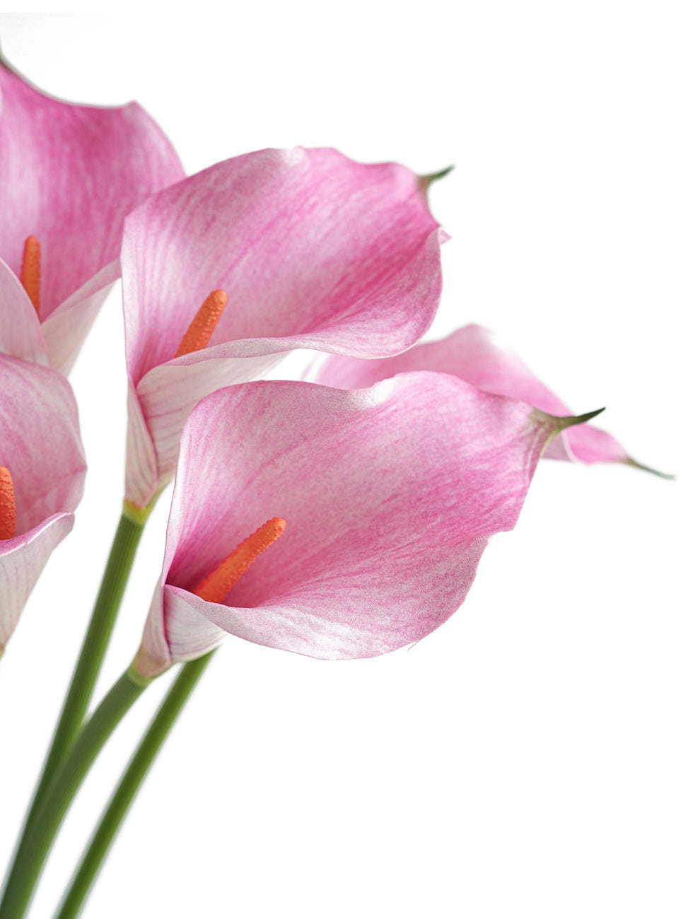 Artificial Calla Lily in Soft Tones-18.8"