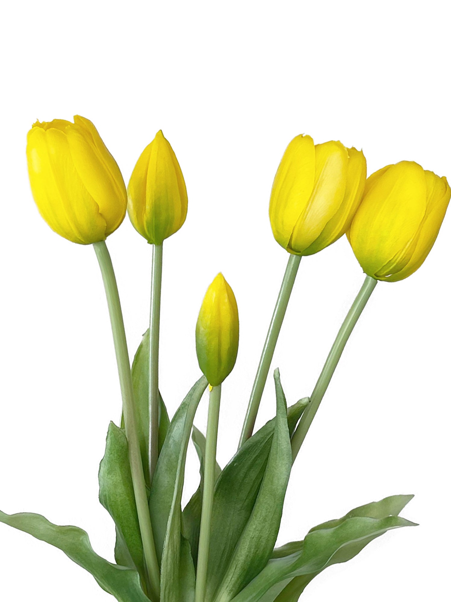 A bunch of artificial tulip flowers with 5 blooms -15.7 "