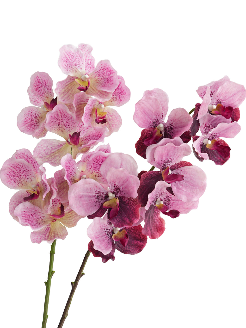 Artificial Vanda Orchid -31.5"