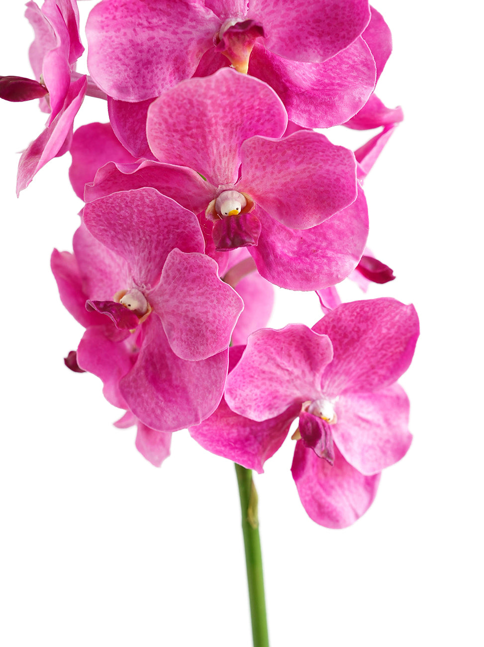 High-end Artificial Vanda Orchids -25.5"
