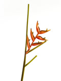 High - end artificial orange heliconias - 35.4"