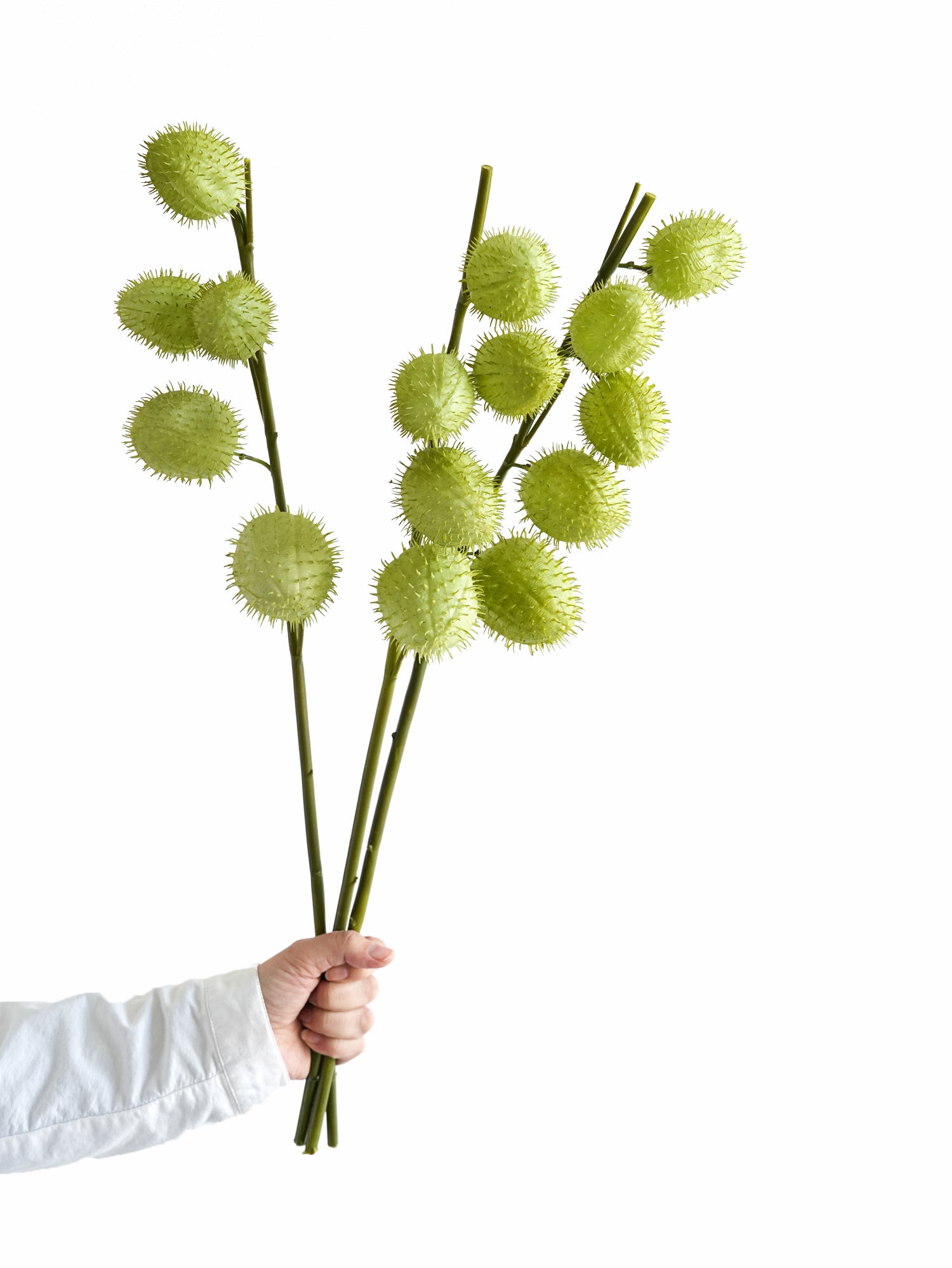 Artificial Balloonplant Fake Gomphocarpus -24.8"