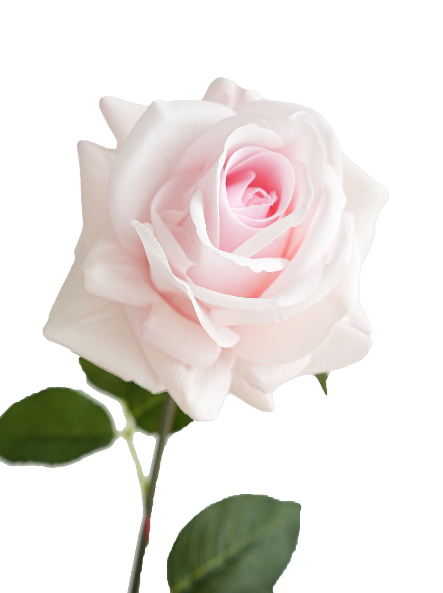 High quality roses with lifelike tactile sensation- 29.5"